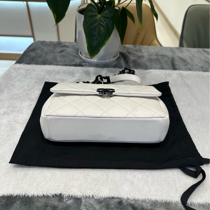 chanel/香奈兒 黑白熊貓荔枝皮牛皮 大mini20  CF鏈條包-5