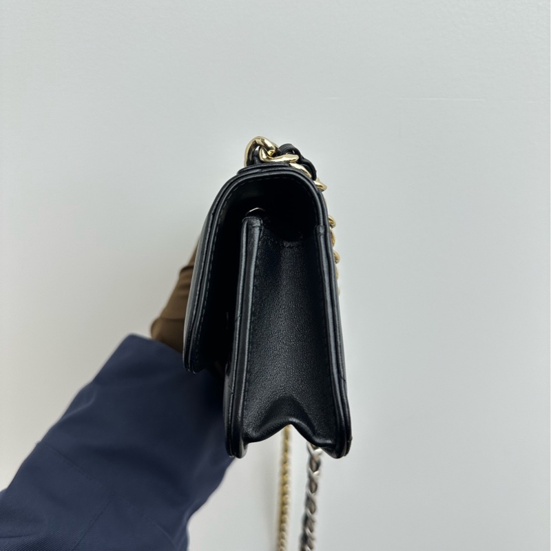 Chanel香奈兒19woc mini-3