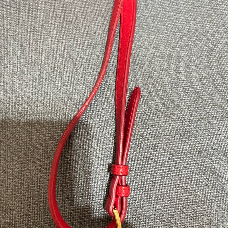 BURBERRY Lola TB字母絎縫羔羊皮鍊帶相機包#小#紅色-28