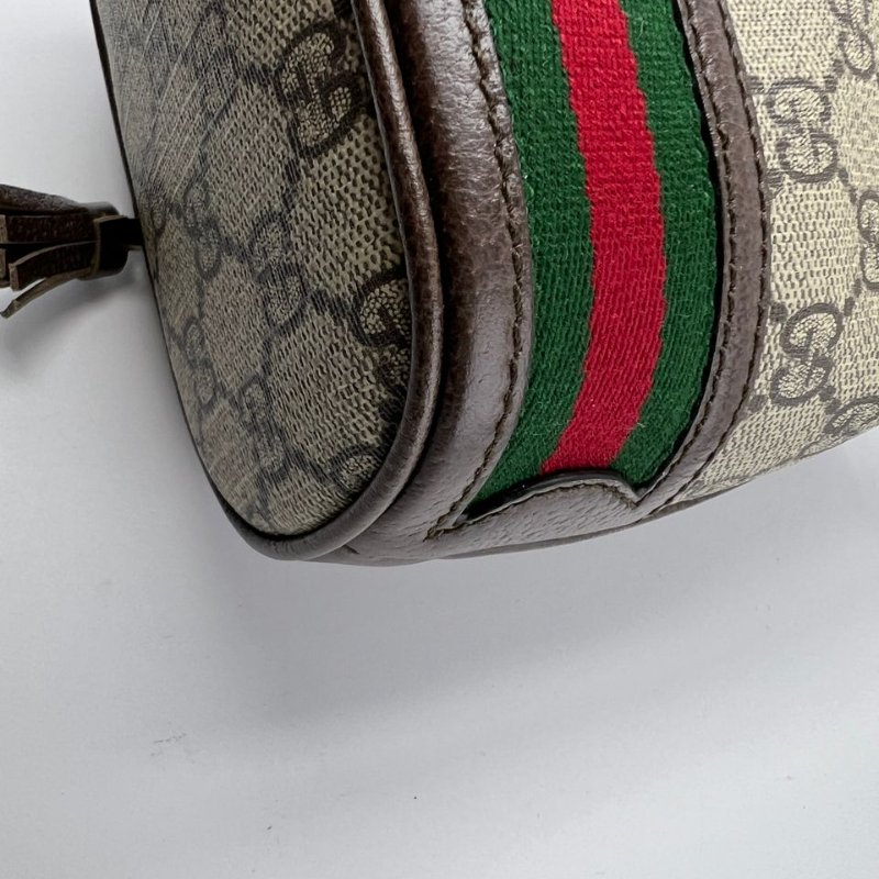 Gucci Ophidia 迷你水桶包-12