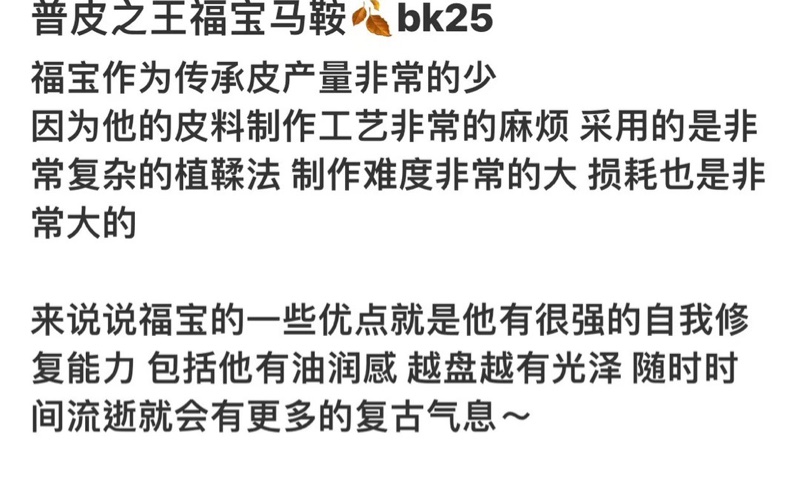 Hermes 福寶馬鞍皮 Birkin 25 cc37 金棕金扣 G 刻-4