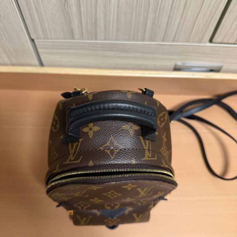LV LOUIS VUITTON Palm Springs Mini 老花 小書包 後背包 M44873-3