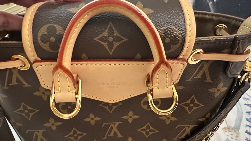 LV Excursion PM 後背包 M46932-21