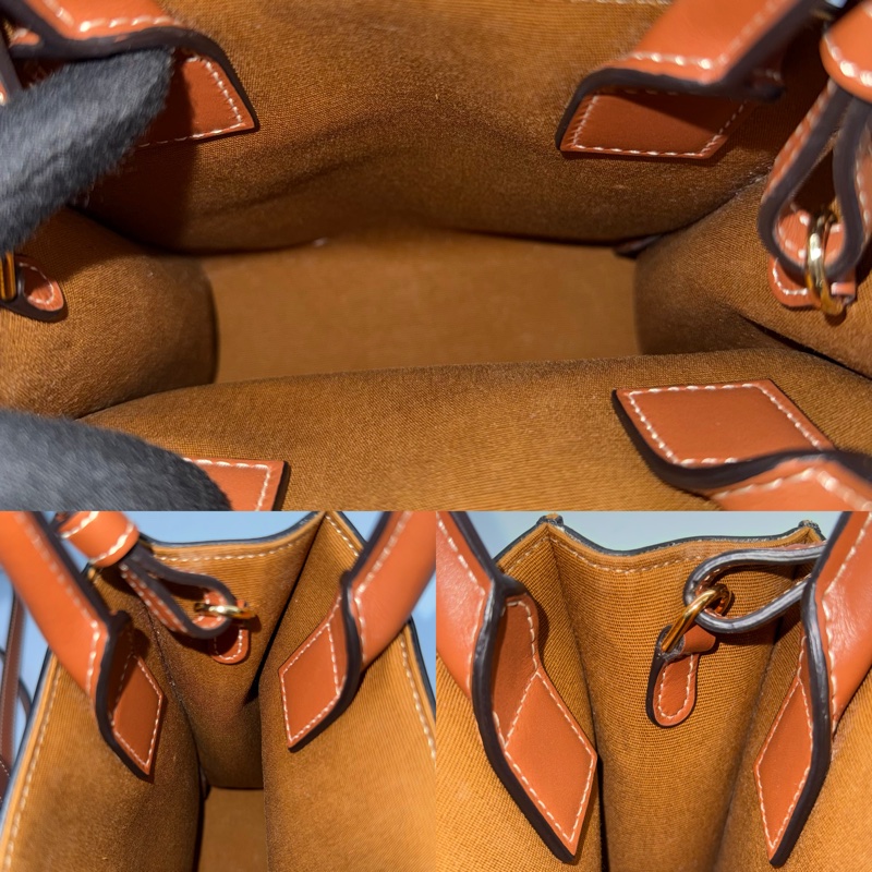 CELINE  賽琳 經典老花TRIOMPHE MINI CABAS VERTICAL 手提斜背2WAY包-5