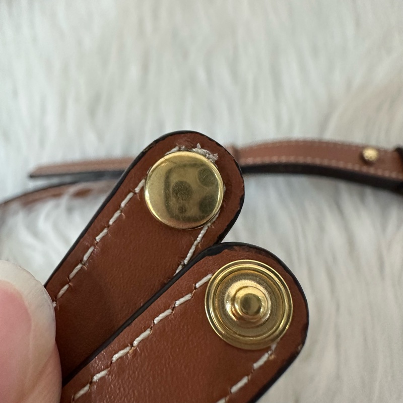 Celine 老花金釦凱旋門迷你斜背包-34