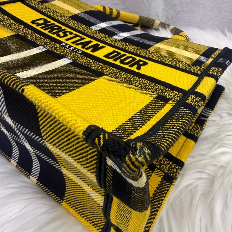 Christian Dior Book Tote Bag-10