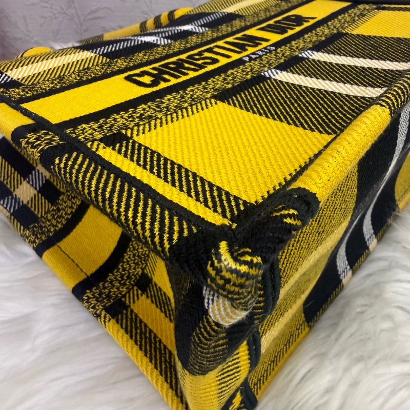 Christian Dior Book Tote Bag-11