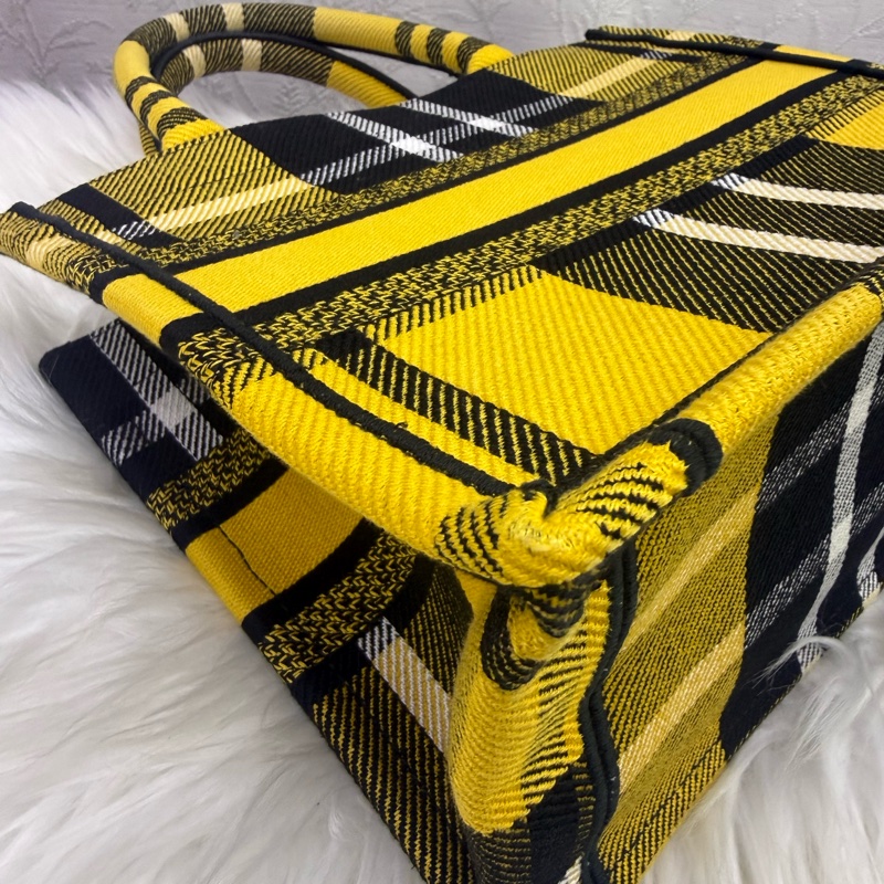 Christian Dior Book Tote Bag-12