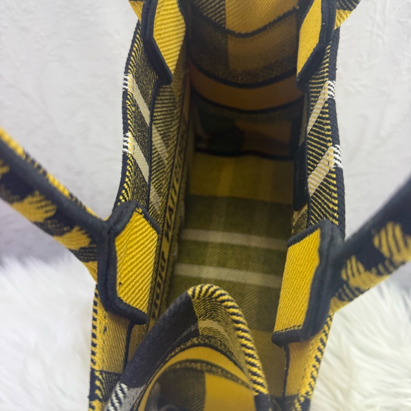 Christian Dior Book Tote Bag-17