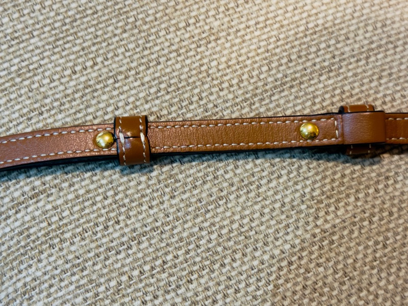 Celine Triomphe 平滑羊皮 信封包 WOC 風琴包-16