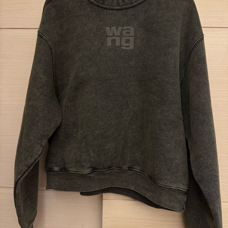 Alexander Wang金蔥軍綠衛衣-0