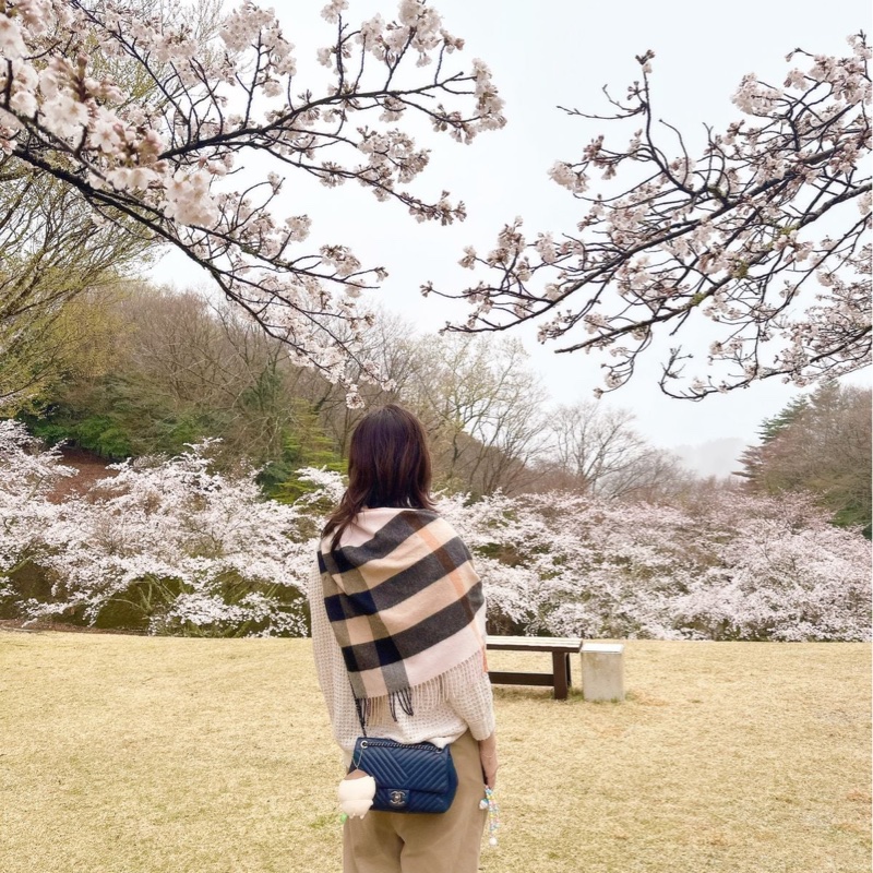 香奈兒單蓋包 鏈條包 肩背包 腋下包 斜背包 香奈兒 深藍色 中古包 二手包 Chanel single flap navy chain  shoulder bag /crossbody bag-6