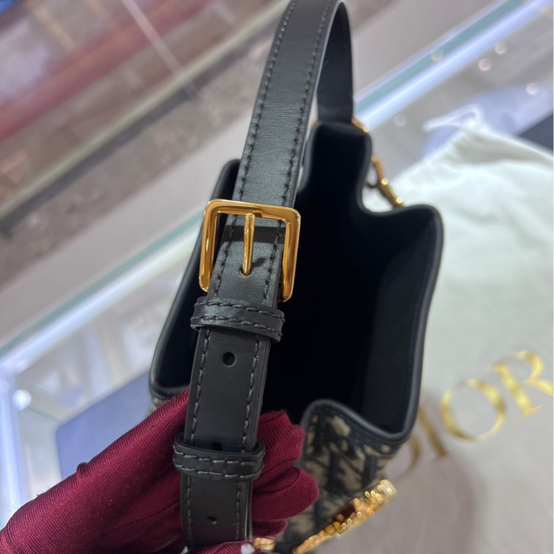 Dior 迪奧Oblique老花帆布C'est Dior-2