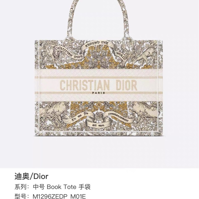 dior-4