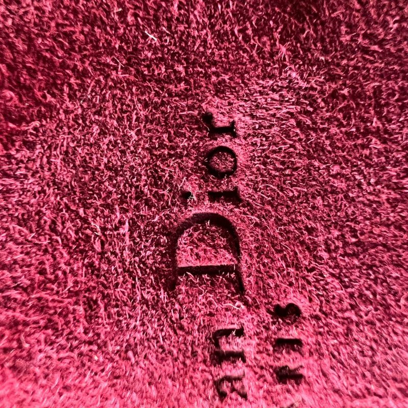 Dior Saddle 手拿包-4