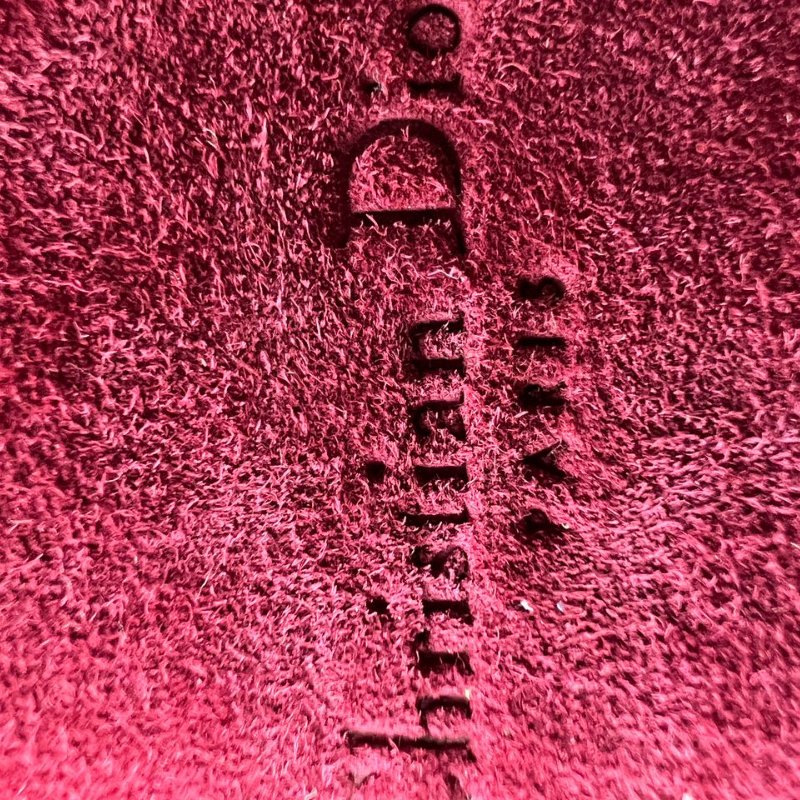 Dior Saddle 手拿包-5