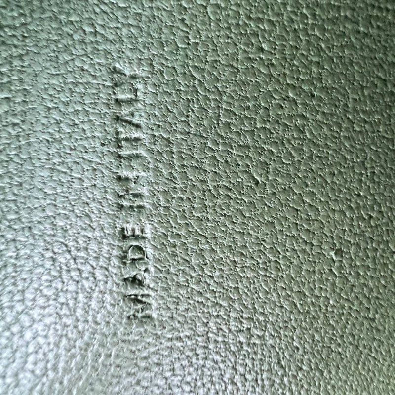 Celine Crécy 馬銜扣相機包-1