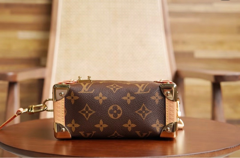 Lv Side Trunk 谷愛凌小號-5