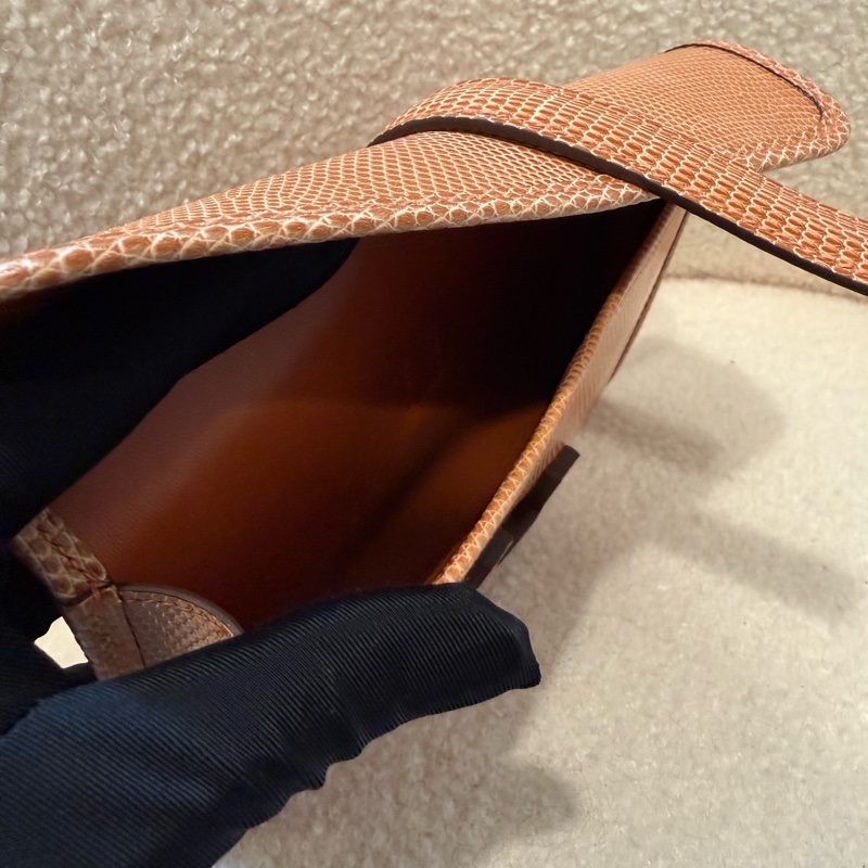 Hermes Jige clutch mini 20cm 5V Rosy Lizard 蜥蜴皮-4