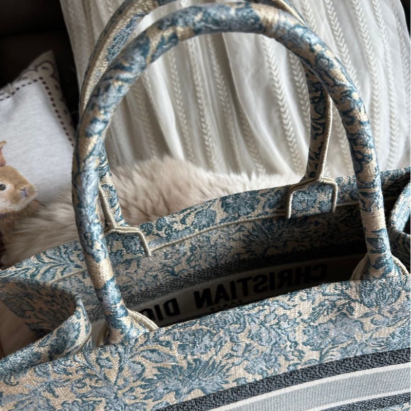 迪奧 托特包 肩背包 腋下包  手提包 閒置  帆布托特 季節限定刺繡款 CHRISTIAN DIOR CD Canvas Embroidered From the 2022 Collection by Maria Grazia Chiuri Medium Brocart Book Tote-24