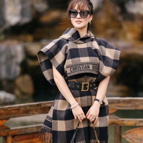 dior hobo腋下包聖誕限定= 粗花呢幸運星吊飾 22*13*10  98新配件購證 塵袋