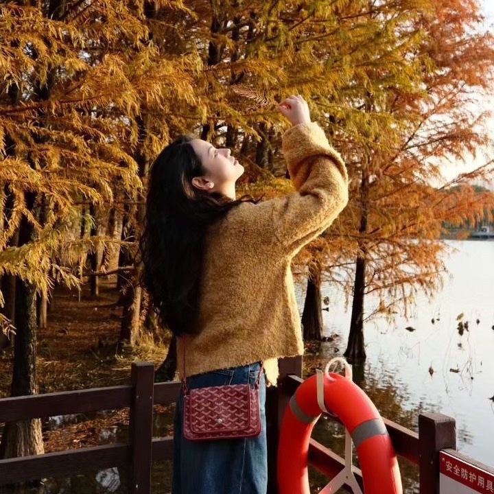 Goyard Plumet woc 紅色 信封包20.5x2.5x14cm 95新 配件塵袋-2