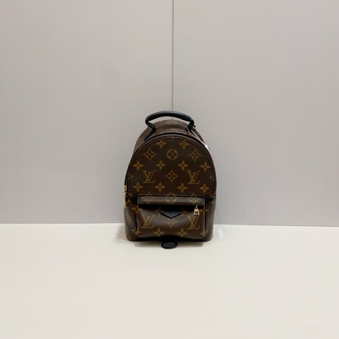 99新Lv路易威登  mini雙肩包 經典老花mini小書包 新款 芯片款   尺寸：17x22x10cm 附件：塵袋