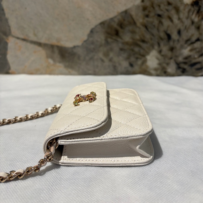 Chanel 亮彩掀蓋小側背-3