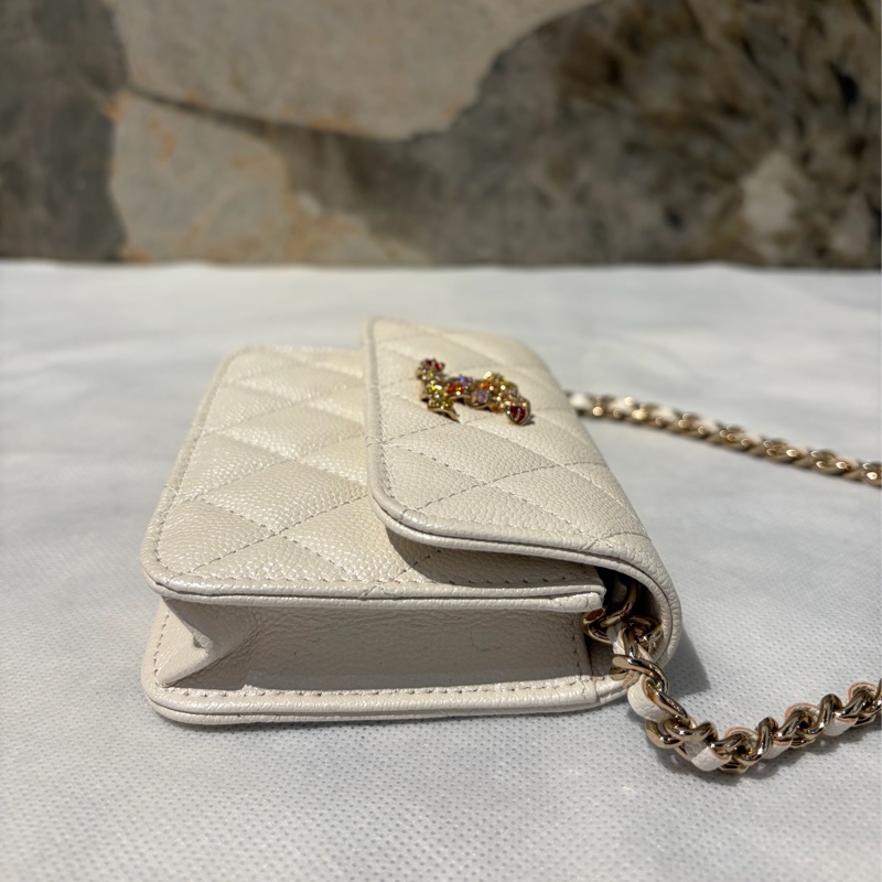 Chanel 亮彩掀蓋小側背-4