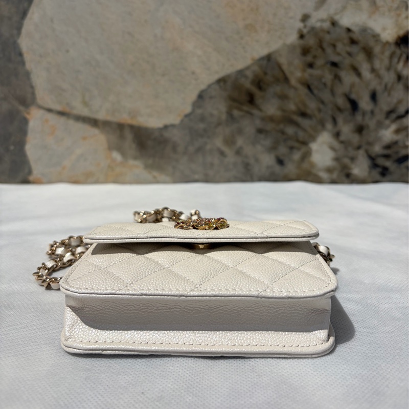 Chanel 亮彩掀蓋小側背-5