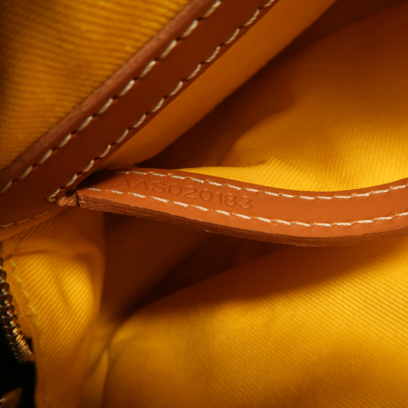 GOYARD 塗層帆布Cap Vert PM銀扣肩背袋-6