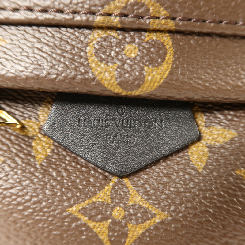 LOUIS VUITTON Monogram Palm Springs Mini金扣背包-13