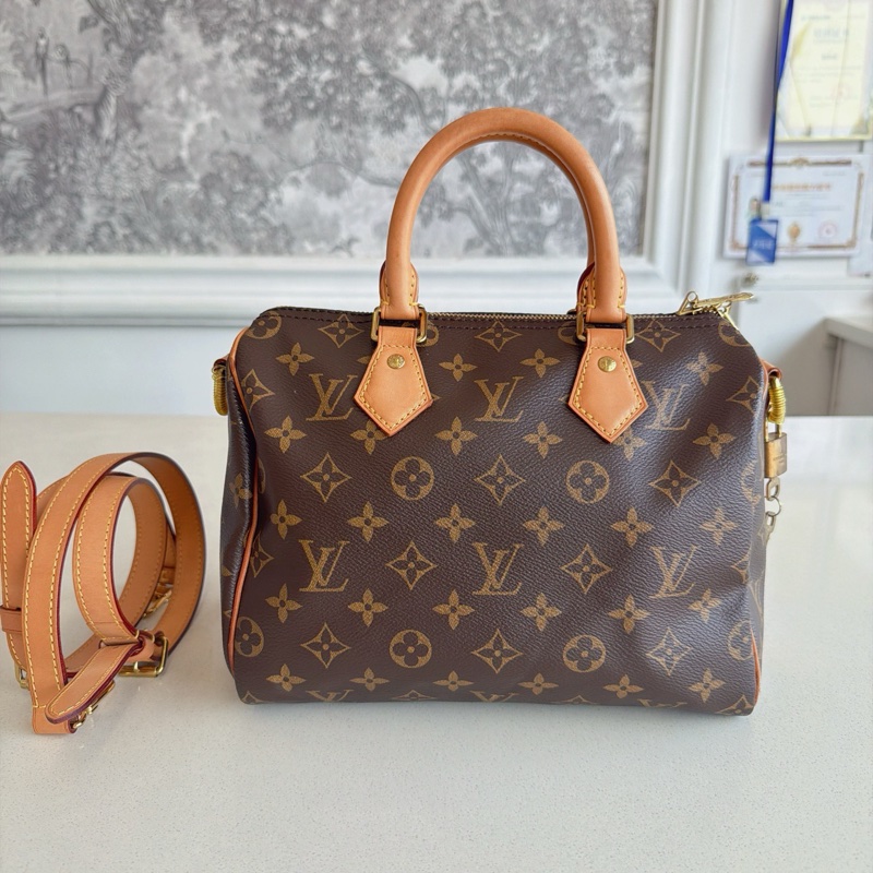 Lv 路易威登 speedy25 芯片款-1