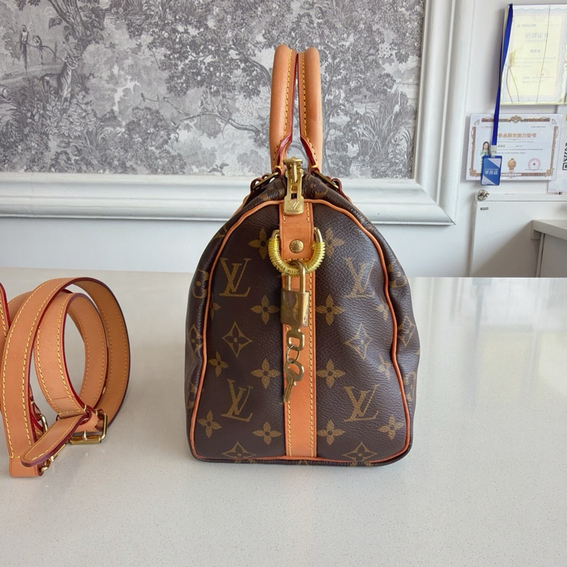 Lv 路易威登 speedy25 芯片款-3