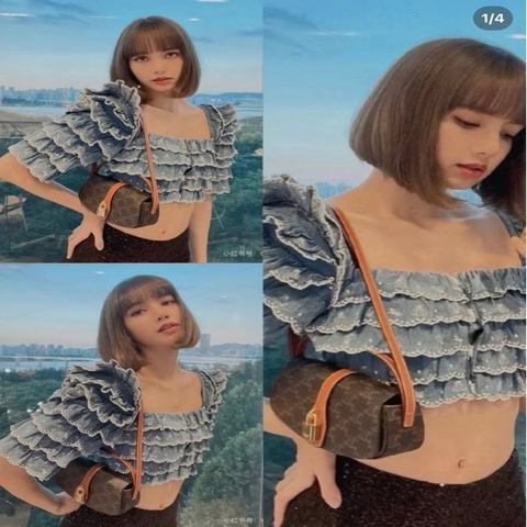 全新全配❤️ celine #老花 #肩背包 #鎖頭腋下包 #lisa同款