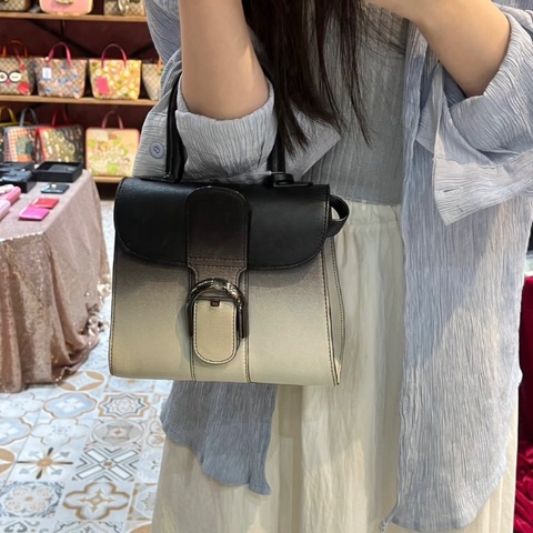 DELVAUX brilliant mini 黑白漸變肩背斜背包20*16*11 98新配件鏡子 塵袋