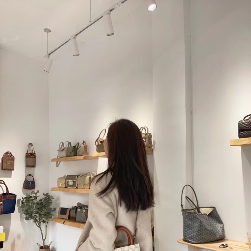 ෆ Celine mini tote迷你托特-5