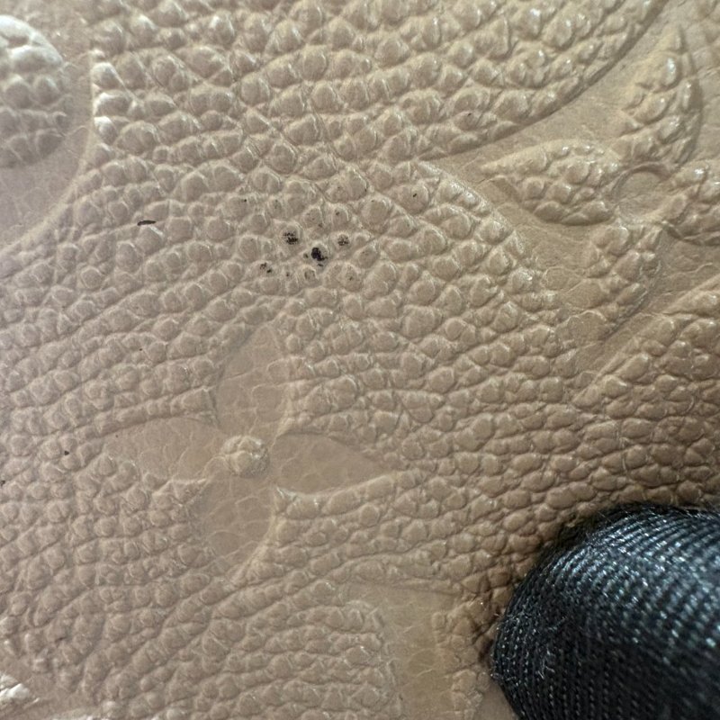 LV 斑鳩灰VAVIN肩背包-28