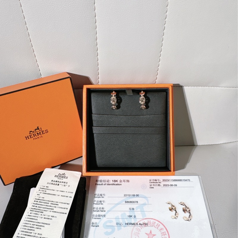 Hermes 愛馬仕Chaine d'Ancre Enchaîné 豬鼻子爬耳式耳環-0