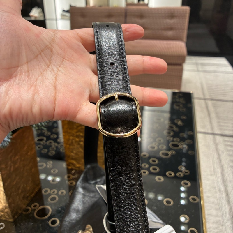 誰在找🧐香奈兒Chanel 26p hobo 小號 腋下包 鬆弛感😂-13