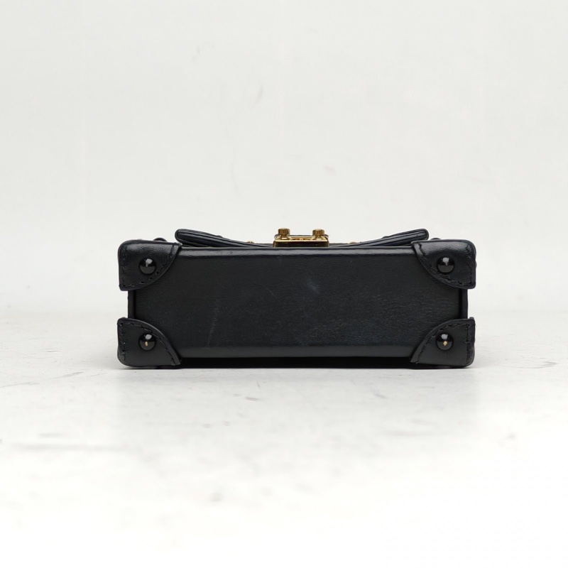 LOUIS VUITTON TrunkVertical手機包老花PVC2020-3