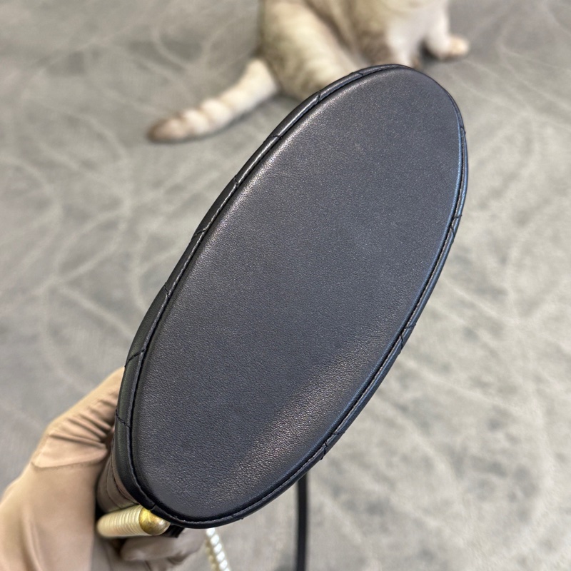 CHANEL香奈儿流浪珍珠嬉皮包，限量款很难买哦，31开，无附件-4