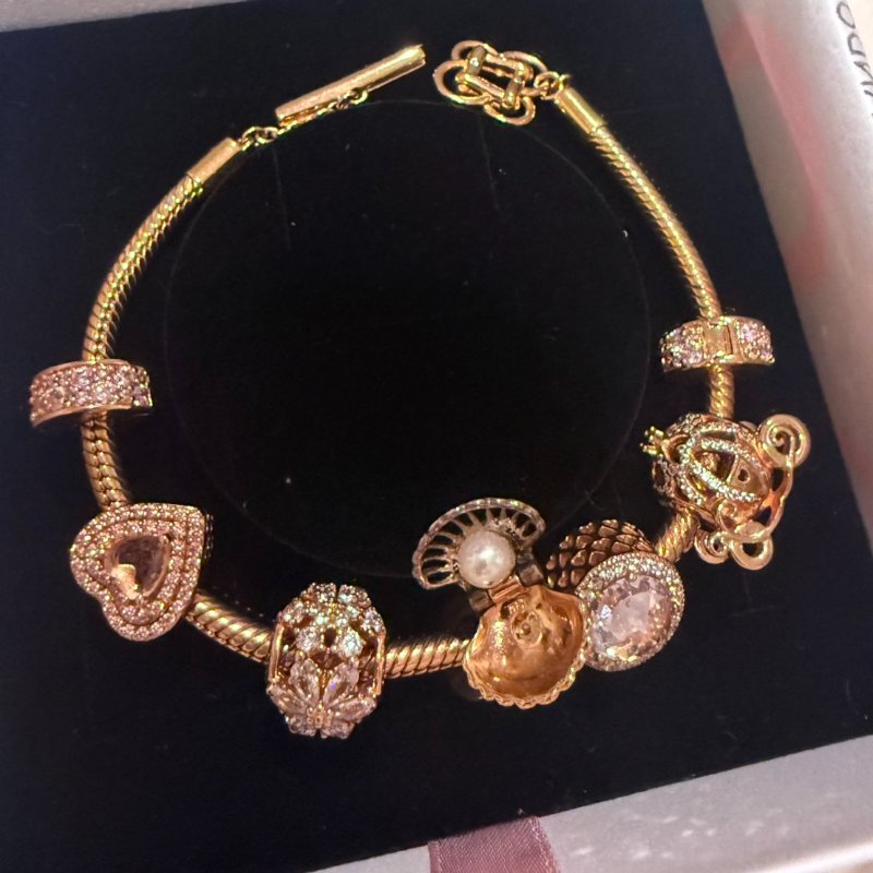 Pandora潘朵拉 Moments平安結 T 字扣蛇形手鍊組-0