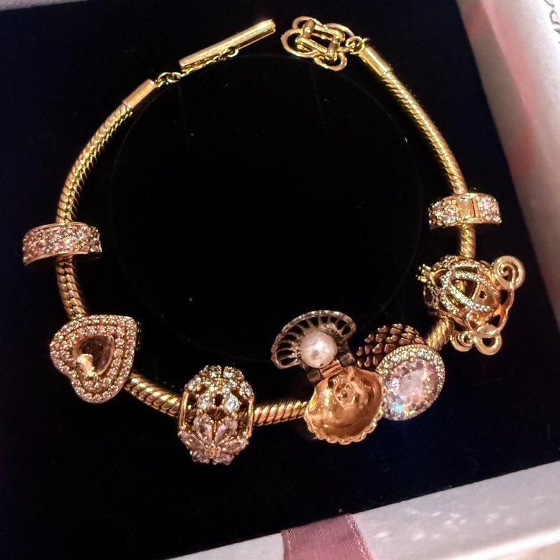 Pandora潘朵拉 Moments平安結 T 字扣蛇形手鍊組-1