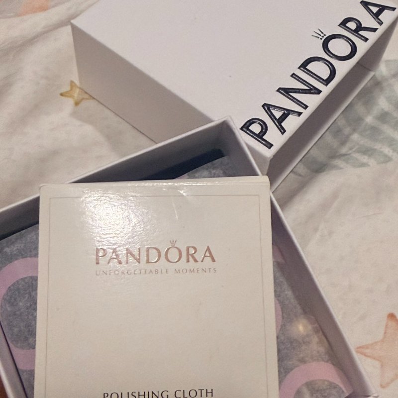 Pandora潘朵拉 Moments平安結 T 字扣蛇形手鍊組-4