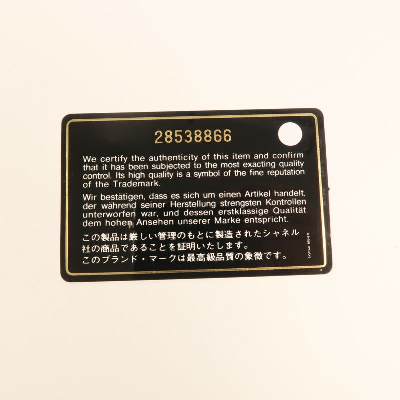 CHANEL 羊皮皮革19 Camera Bag金扣鏈帶肩背袋-9