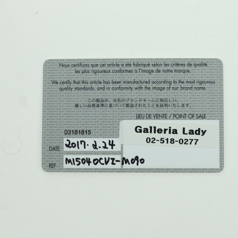 【日本直送】Christian Dior Canage 雙肩包，皮革材質，金色/銀色，正品 AMZ448V-10