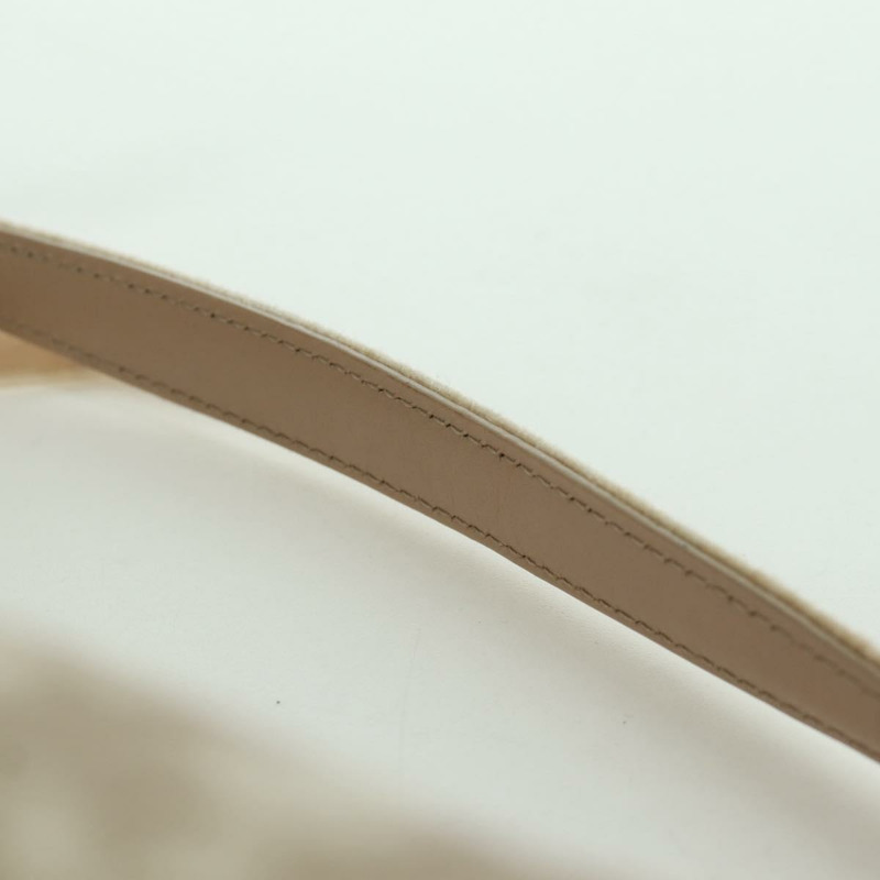 【日本直送】Christian Dior Trotter帆布少女包 PVC皮革 米色 銀色 正品 YKZ130SAV-13