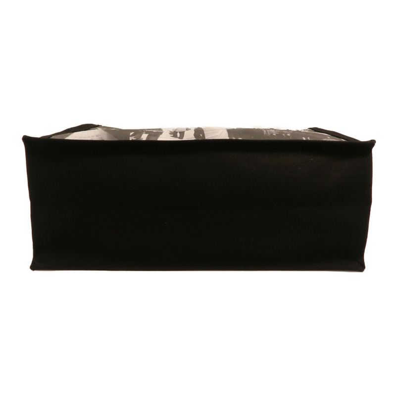 Dior 帆布Cruise 2025 Tote Bag銀扣肩背袋-3