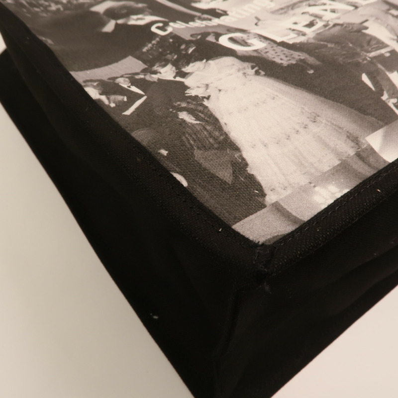 Dior 帆布Cruise 2025 Tote Bag銀扣肩背袋-9